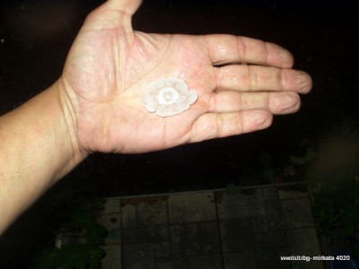 P1010008-1.JPG