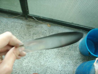 PICT0123.JPG