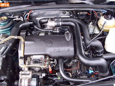 3175543o.jpg