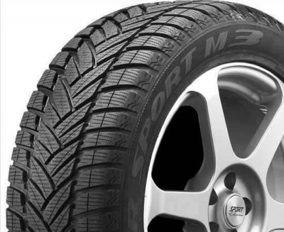 DUNLOP_ SP Winter Sport M3big.jpg