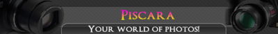 3039785l.png