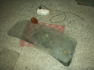 PICT0141.gif