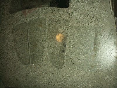 PICT0143.gif
