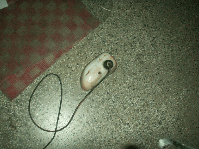 PICT0156.gif