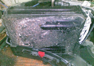 31082009(001).JPG