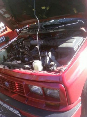 vitara_2.jpg