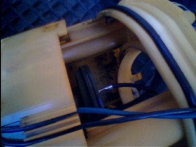 IMG0205A.jpg