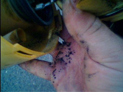 IMG0206A.jpg