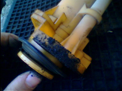 IMG0209A.jpg