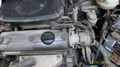 100_3008 (Large).JPG