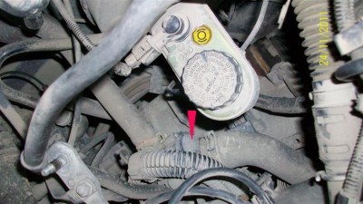 100_3011 (Large) copy.jpg