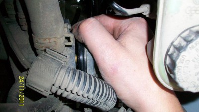 100_3021 (Large).JPG