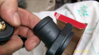 100_3036 (Large).JPG