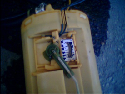 IMG0203A.jpg