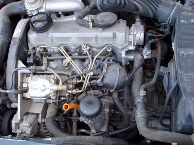 P4280053_resize.JPG