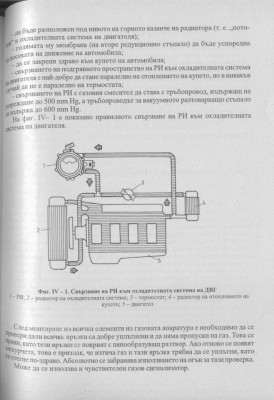 Image1.jpg