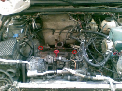 11092008(001).JPG