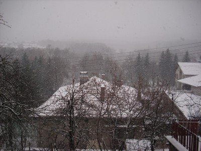 IMG_15581.jpg