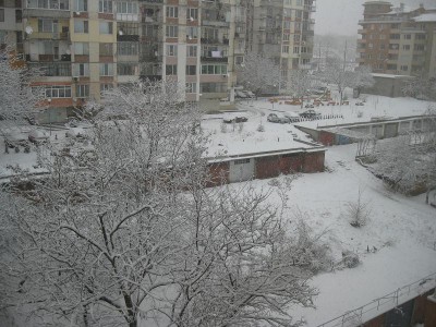 IMG_2747.JPG