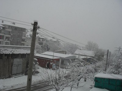 SAM_0619.JPG