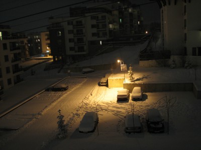 IMG_8830.JPG