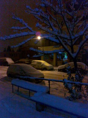 23122011158.jpg