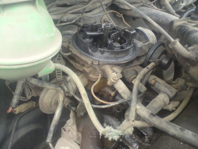 DSC00300 [800x600].JPG