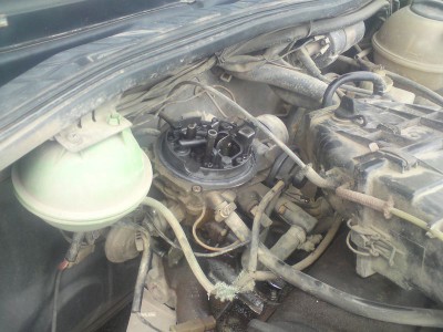 DSC00302 [800x600].JPG