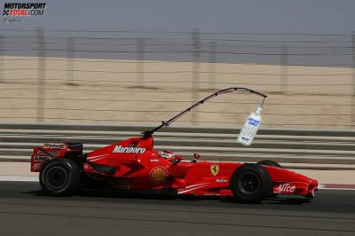 kimi.jpg