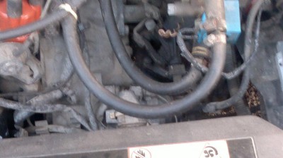 2012-01-05-025.jpg
