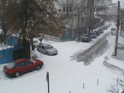 P1261020.JPG