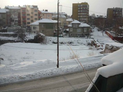 P1180495.jpg