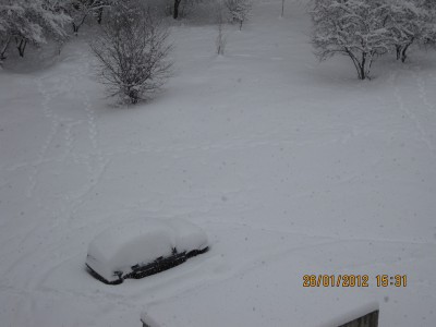 IMG_1034.JPG
