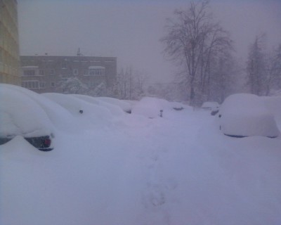Photo-0014.a.jpg