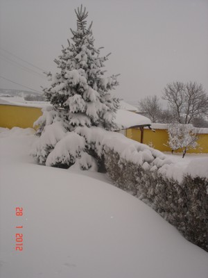 DSC03803_1.jpg