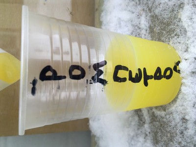 Изображение0397.jpg