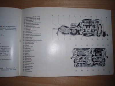 P2030005.JPG