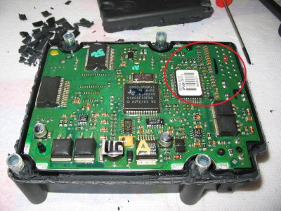 ABS_Guts - Копие.jpg