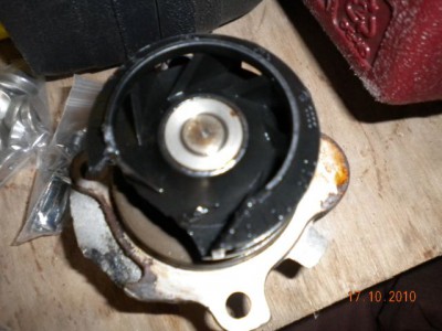 DSCN0526.JPG