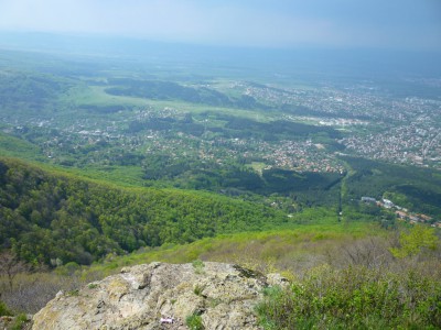 P1070907-1.JPG