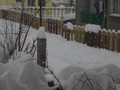 DSCN9786.jpg