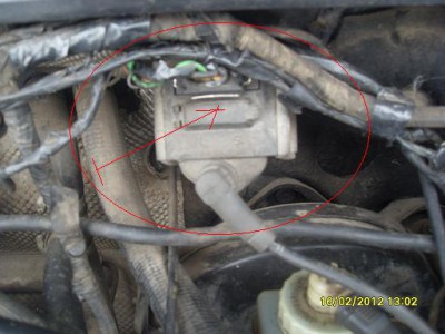 SDC15940.JPG