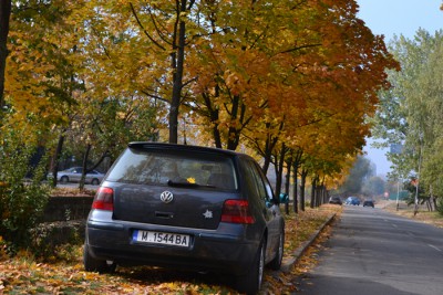 DSC_1497.JPG