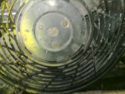 25022012314.jpg