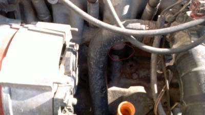 2012-03-17-140.jpg