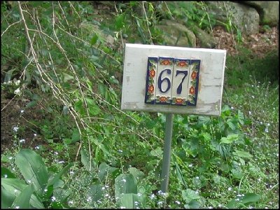 67.jpg