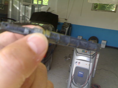 05062009425.jpg