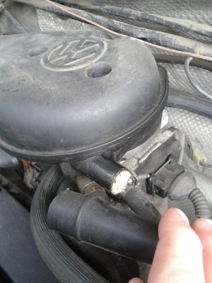 2012-04-13 15.37.35.jpg