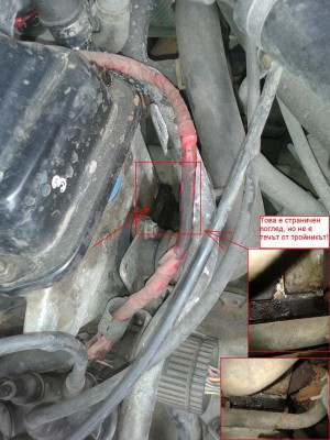 2012-04-13 15.38.29.jpg