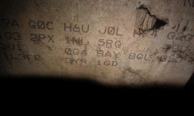 IMAG0235.jpg